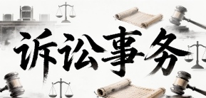 个人独资企业、个体工商户、民办非企业法人的异同（含诉讼时诉讼主体资格的举证）
